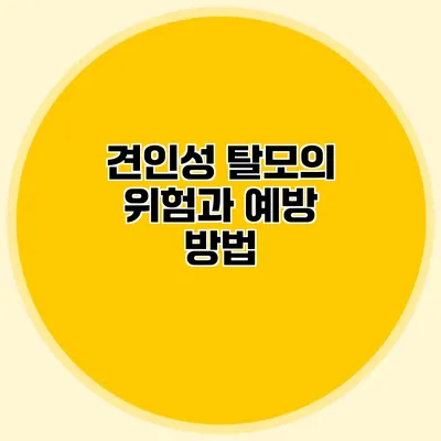 견인성 탈모의 위험과 예방 방법