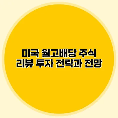 미국 월고배당 주식 리뷰 투자 전략과 전망