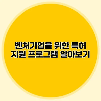 벤처기업을 위한 특허 지원 프로그램 알아보기