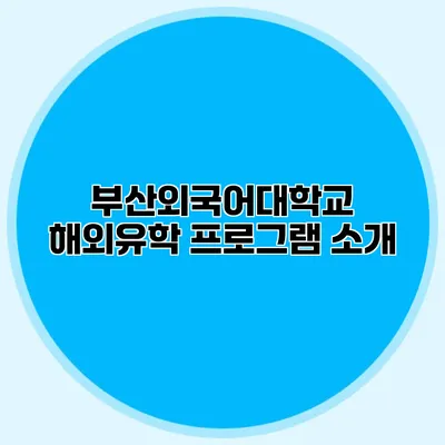 부산외국어대학교 해외유학 프로그램 소개