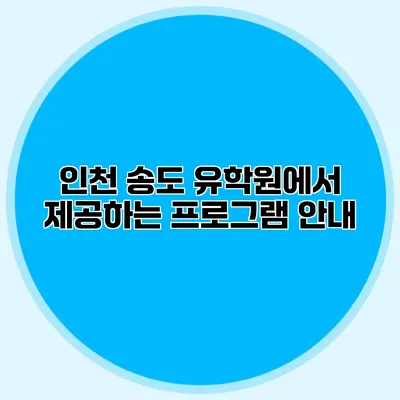 인천 송도 유학원에서 제공하는 프로그램 안내
